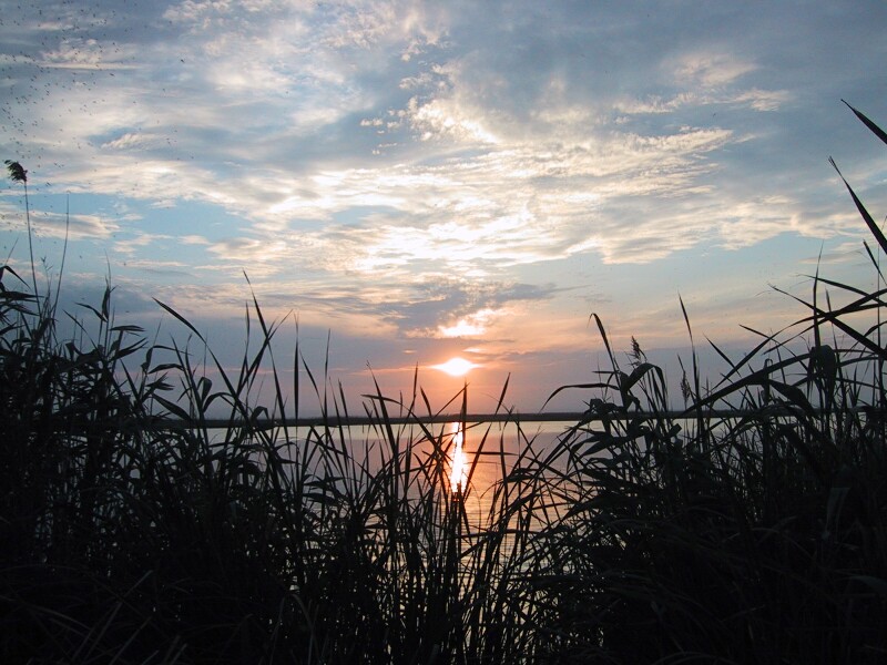 La Albufera Sunset, next is Valencia Street