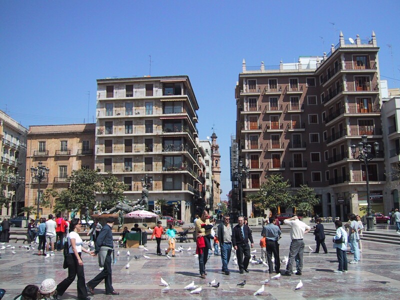 Valencia Square, next is Palm Flipper
