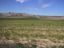 Fields of Spain (126K)
