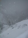 Winter Wonderland (76K)