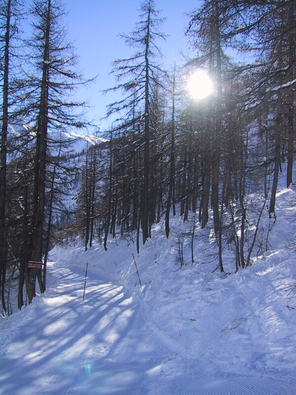 Val d'Isere Trees, next is Funival Flipper