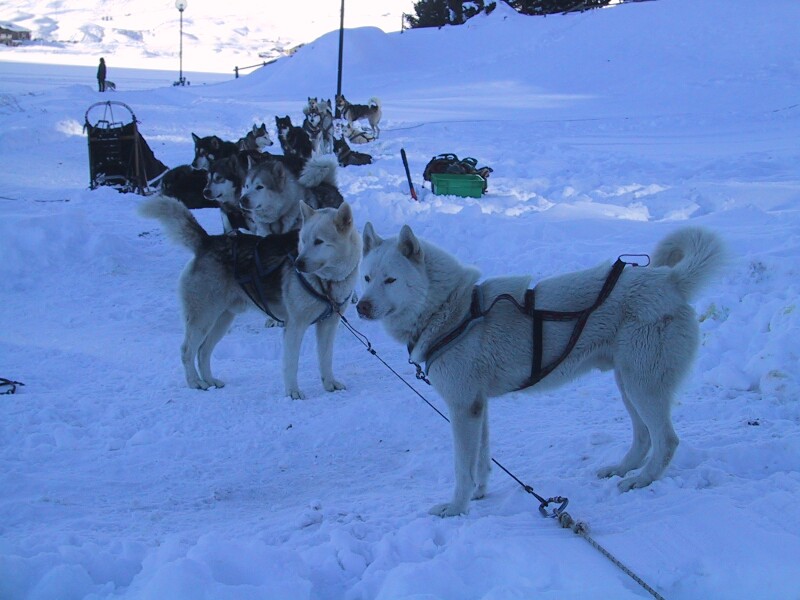 Tignes Huskys, next is Tignes Terrain Park
