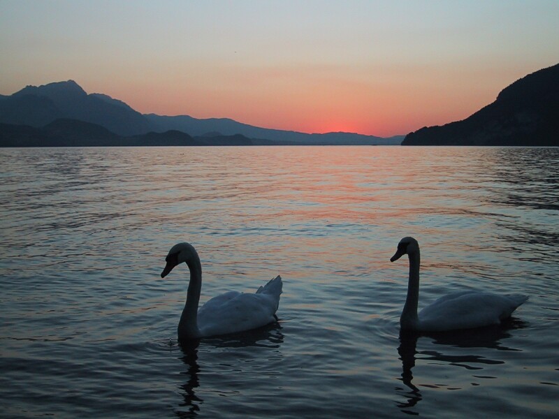 Intelaken Sunset, next is Intelaken Mountains