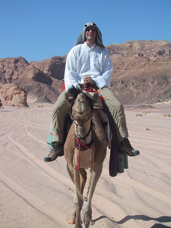 Camel Rob, next is Desert Camels