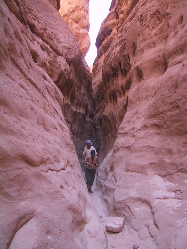 Closed Canyon, next is Desert Tree