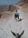 Donkey Rider's View (126K)