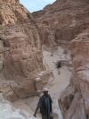 White Canyon Guide (105K)