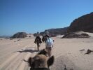 Camel Rider's View (71K)