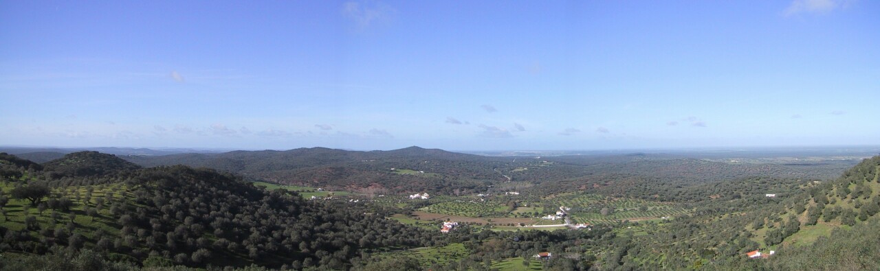 Evoramonte Panorama, next is Portuguese Tree