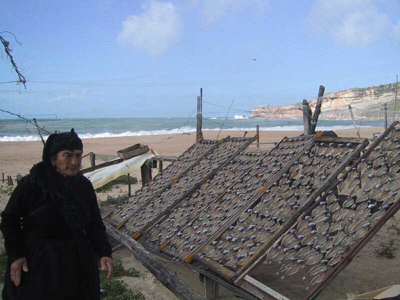 Nazare Fisherwoman, next is Sintra Walls