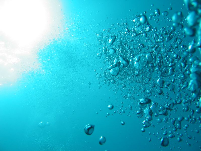 Bubbles, next is Big Fish