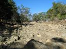 Peter Bay River Bed (140K)
