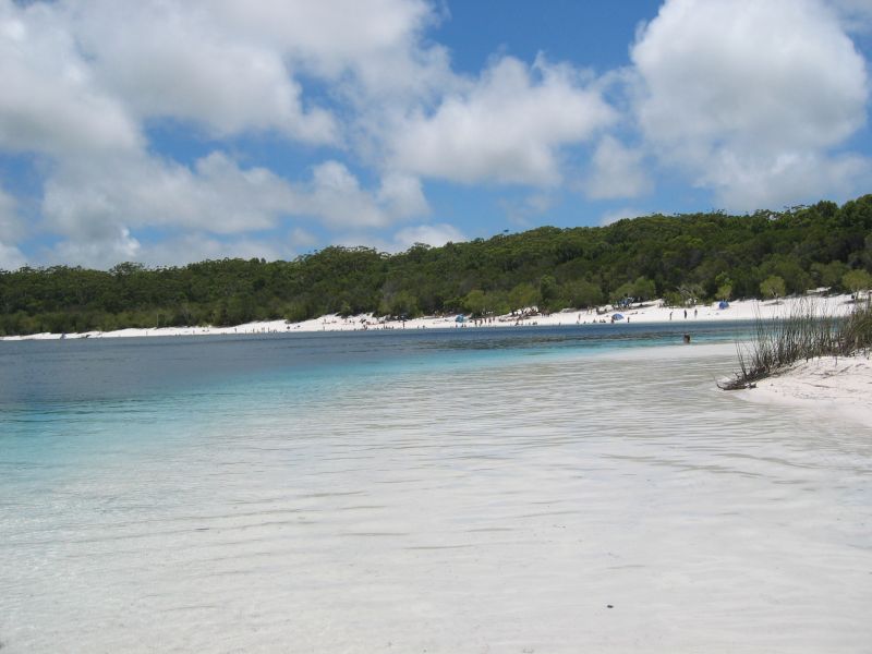 Lake McKenzie, next is Kingfisher Clowns