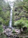 Erskine Falls (171K)