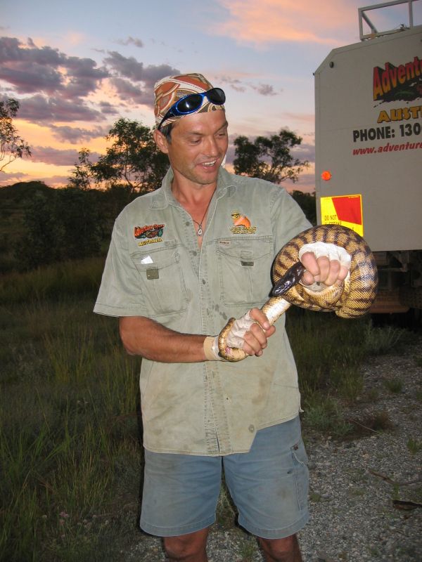 Black Headed Python, next is Outback Spa