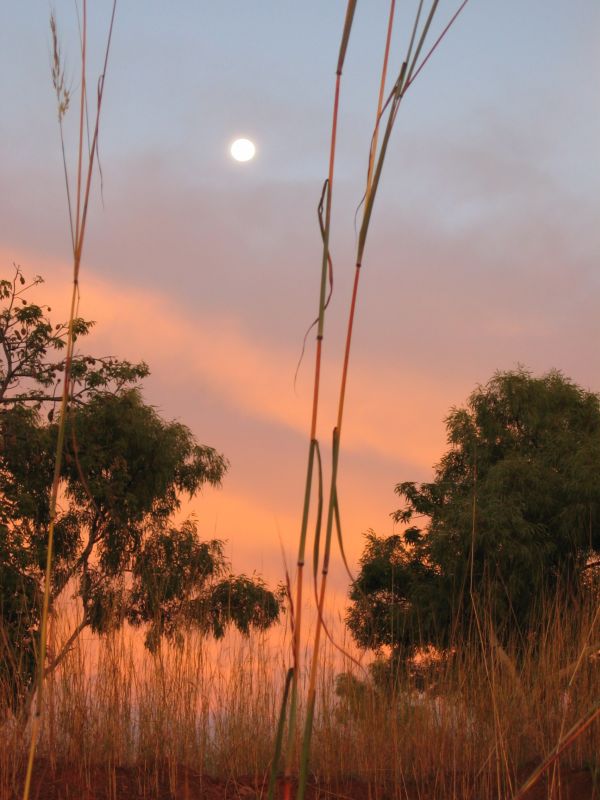 Kimberly Sunrise, next is Emma Gorge Fall