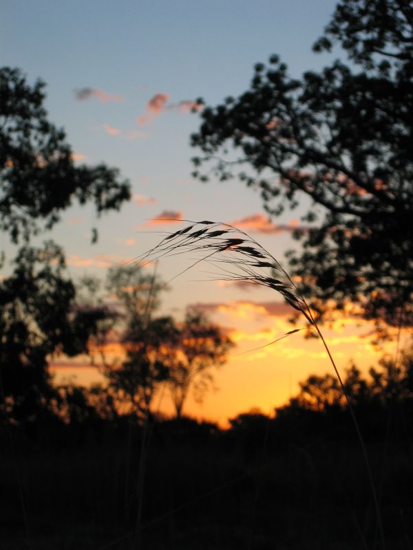 Kimberly Sunset, next is Northern Territory Tourists