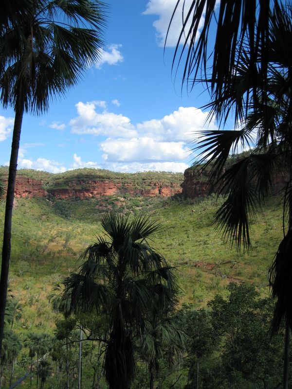 Jo Creek Palms, next is Escarpment Walk