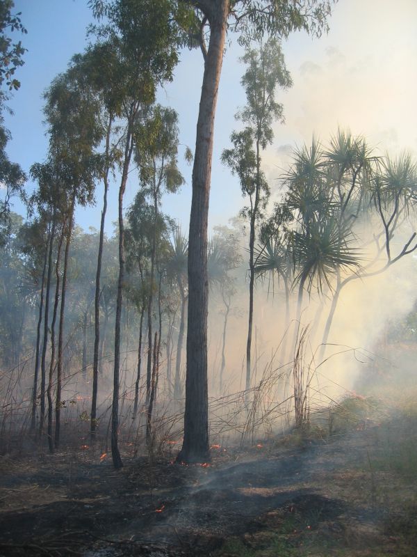 Kakadu Fire, next is Jim Jim Sunset