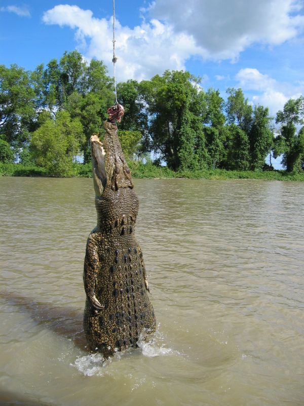 Jumping Croc, next is Moline Falls