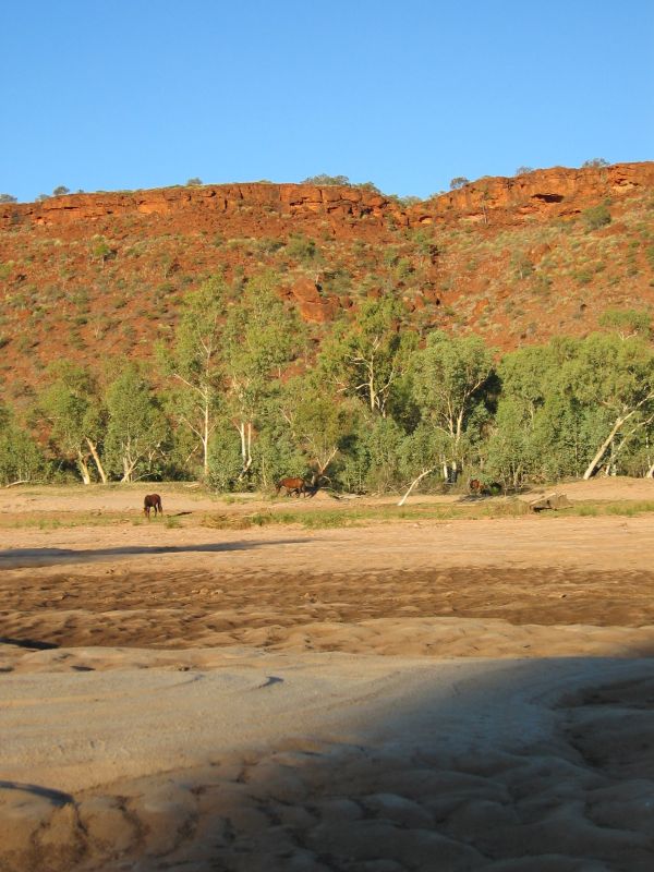 Finke River, next is Palm Valley