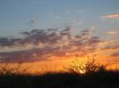 Bushcamp Sunrise (66K)