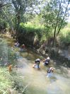 Creek Gang (156K)