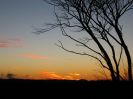 Serpentine Sunset (67K)