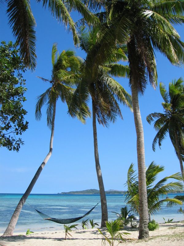 Safe Landing Hammock, next is Fish Friday