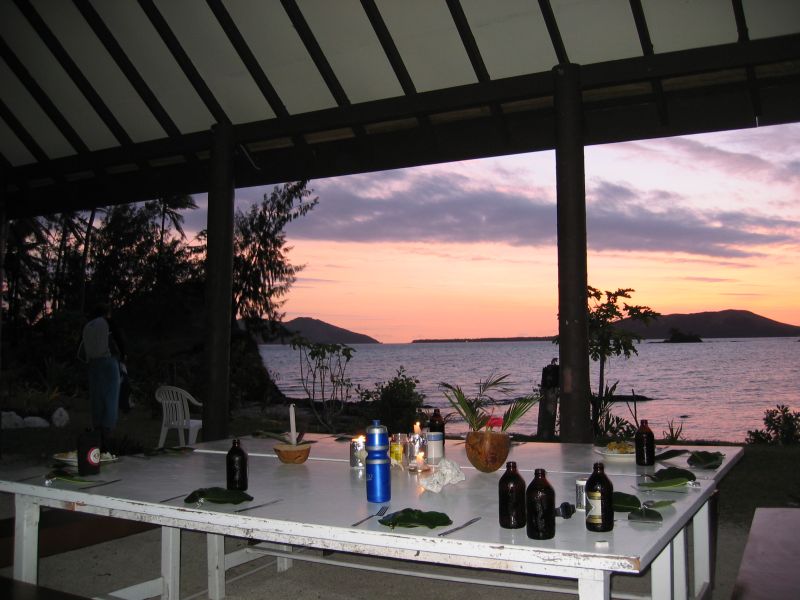 Romantic Dinner, next is Tree Soft Coral