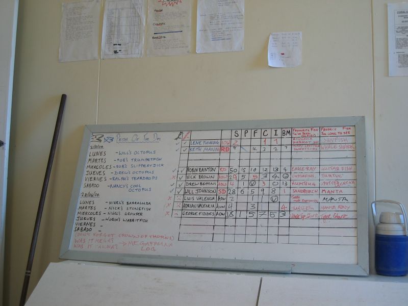Survey Scoreboard, next is Safe Landing Sunset
