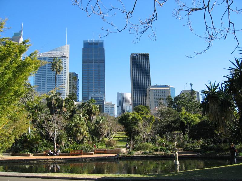 Botanic Sydney, next is Bat Tree