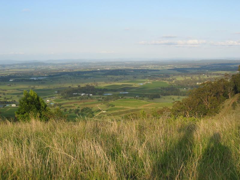 Hunter Lookout, next is Scooby Kate