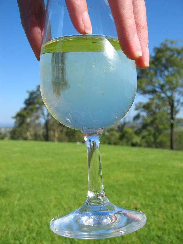 Wineglass, next is Good Catch