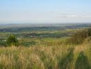 Hunter Lookout (85K)