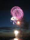 Manly Fireworks (53K)