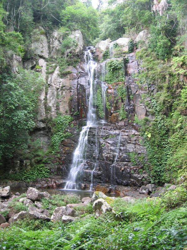 Minnamurra Falls, next is Austinmer Beaches