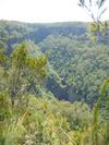 Fitzroy Falls (125K)