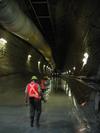 Tunnel Walkers (57K)