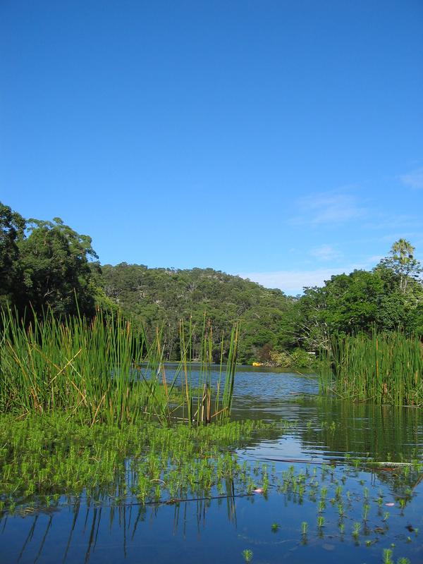 Hacking River, next is Royal Creek