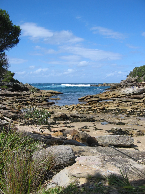 Curracurrang Bay, next is Royal Spider