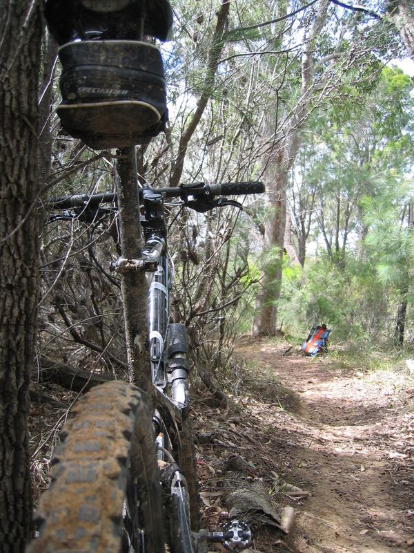 Royal Jekyll, next is Royal Single Track