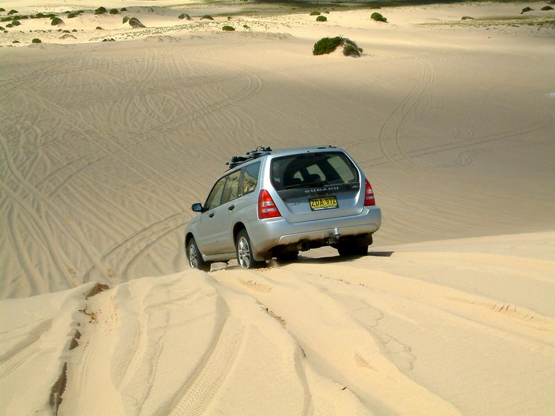 Going Down, next is Dune Climber Rob