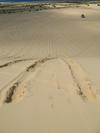 Dune Dead End (47K)