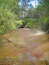 Royal Creek (126K)