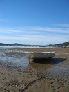 Churh Point Tinny (424K)
