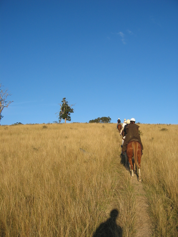 Grassy Riding, next is Megalong Riding