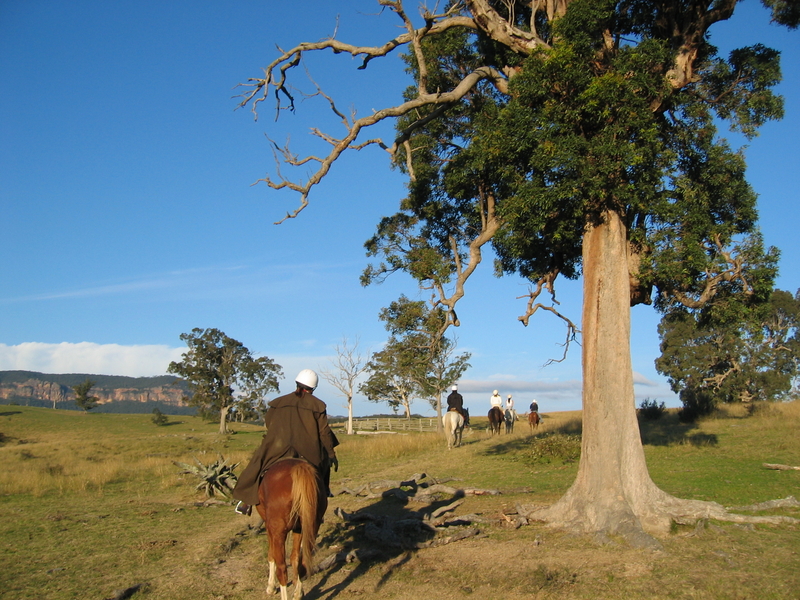 Megalong Riding, next is Heritage Centre Morning