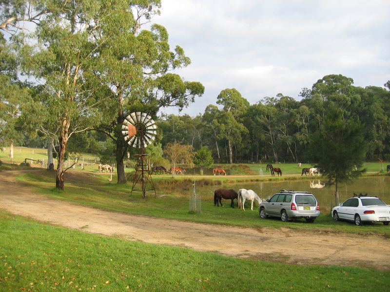 Heritage Centre Morning, next is Heritage Centre Horse