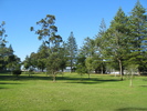 Basin Campground (553K)